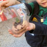 節分祭に行ってきました♬